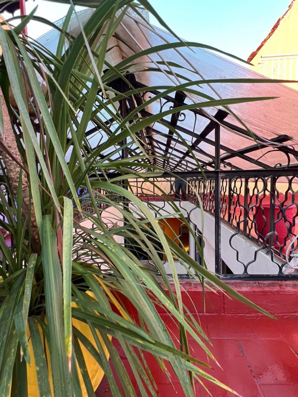 Riad Oyoune ラバト エクステリア 写真